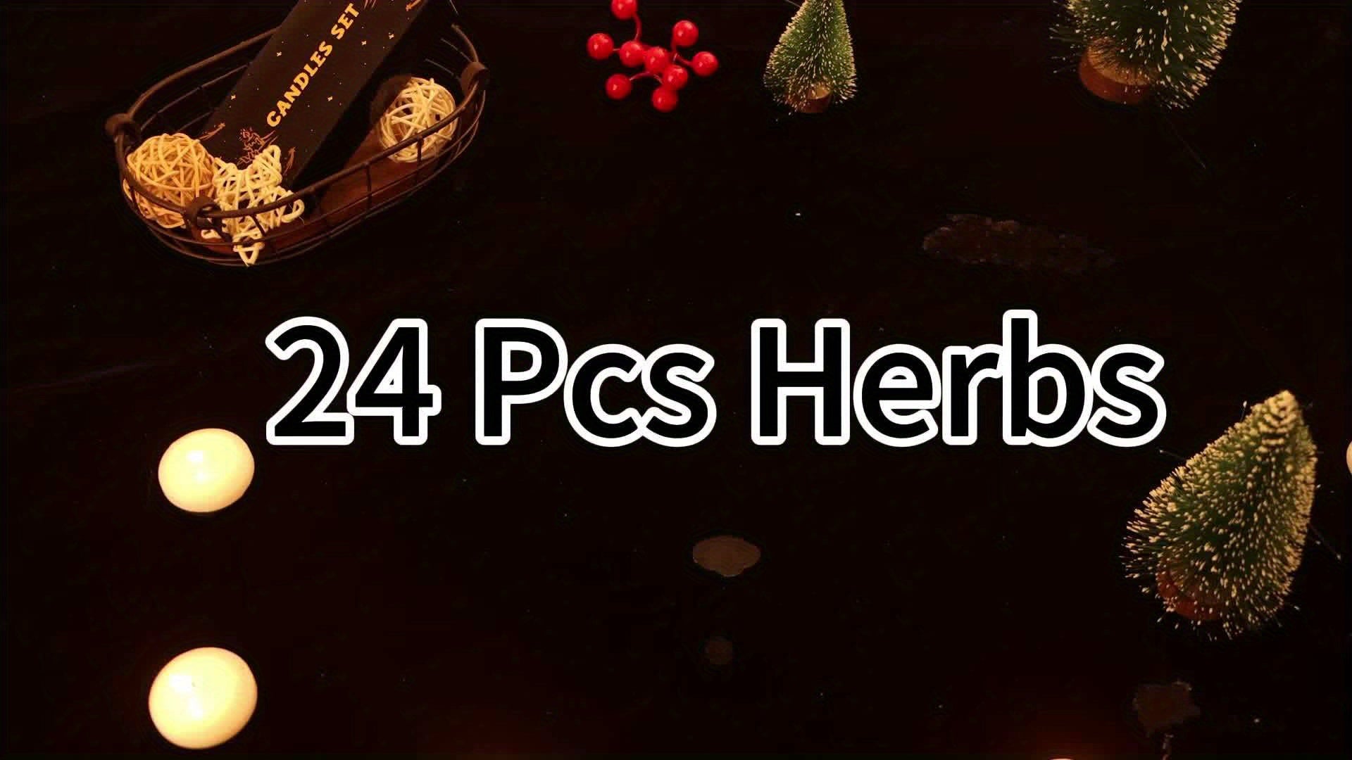 24pcs Dried Herbs 1 Crystal Spoon Kit