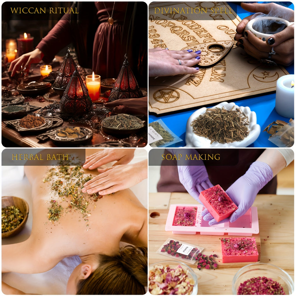 Set Of 40 Dried Herbs