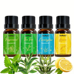 12 Flavors Essential Oils