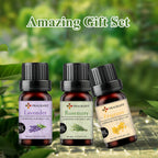 Rosemary And Chamomile Scented Essential Oil Set