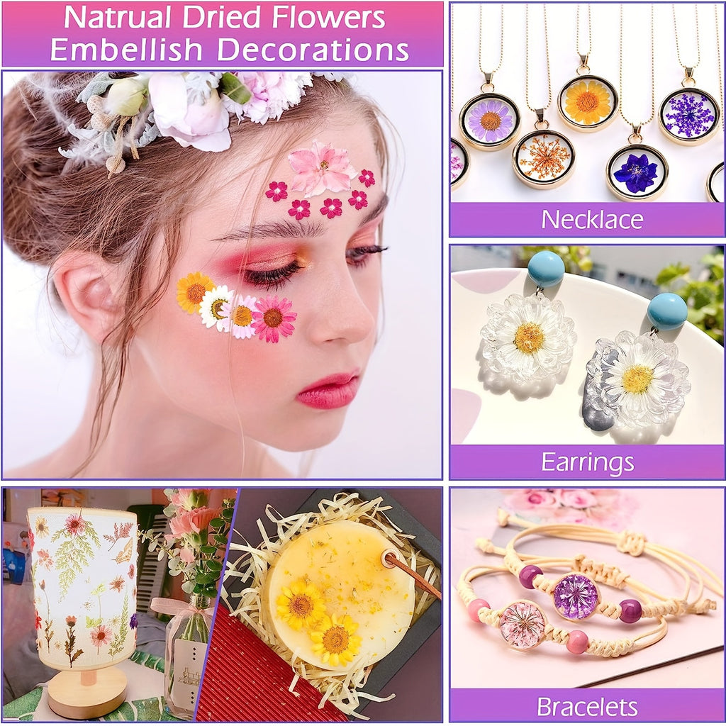 140pcs Premium Pressed Dried Flower Kit