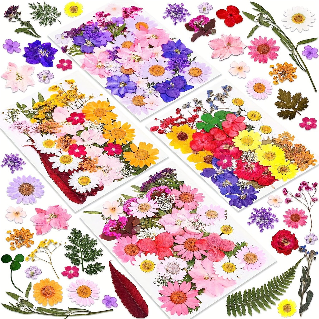 140pcs Premium Pressed Dried Flower Kit