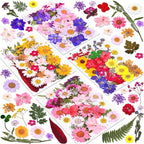 140pcs Premium Pressed Dried Flower Kit