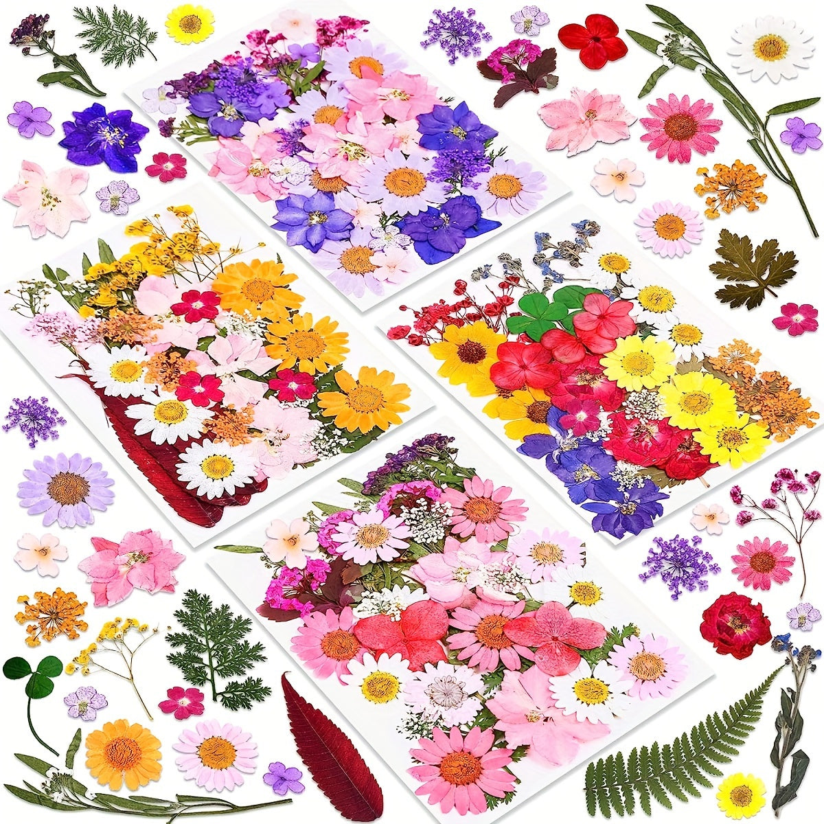 140pcs Premium Pressed Dried Flower Kit