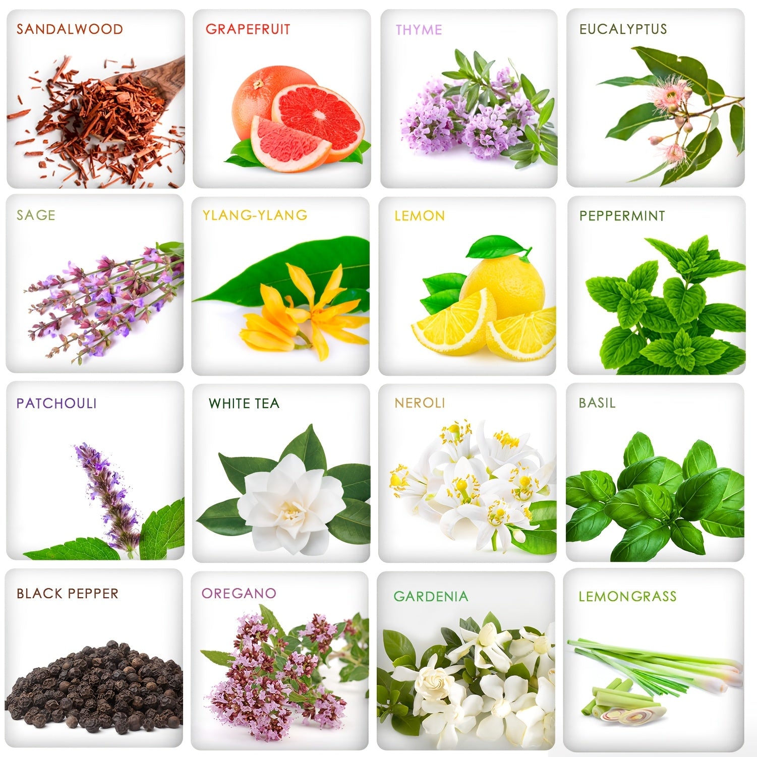 12pcs/26pcs/32pcs/48pcs Essential Oils Set