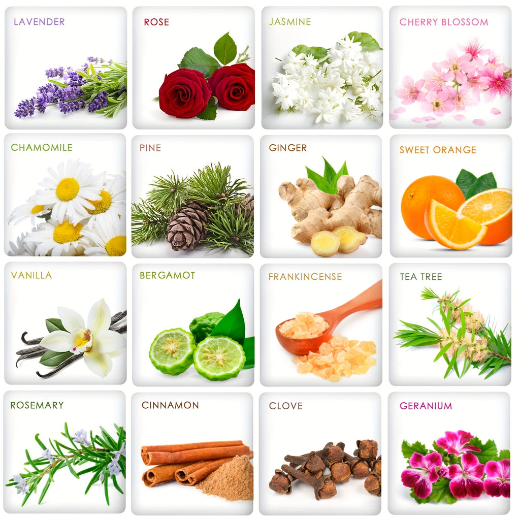 12pcs/26pcs/32pcs/48pcs Essential Oils Set