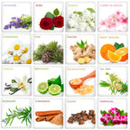 12pcs/26pcs/32pcs/48pcs Essential Oils Set